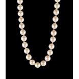 Perlenkette / Pearl necklaceSchließe GG 585/000, L: 42 cm, Ø der Perlen 6 mm / 
clasp yellow gold