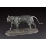 Jules MOIGNIEZ (1835-1894)"Schreitender Tiger"
Skulptur-Volumen, Bronze, 18,5 cm x 37 cm x 12 cm,