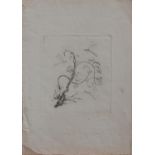 Biedermeierkünstler(Radierer d. 1. Hälfte des 19. Jh.)Tanz der LibellenOrig.-Radierung,19,5 x 17 cm,