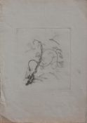Biedermeierkünstler(Radierer d. 1. Hälfte des 19. Jh.)Tanz der LibellenOrig.-Radierung,19,5 x 17 cm,