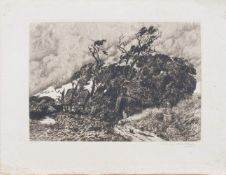 Franz Heicker(österreichischer Maler, Zeichner u. Radierer d. 19. Jh.)Landschaft mit