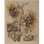 Busch, Edith: Sonnenblumen. Kolorierte Radierung, in der Platte monogrammiert, darunter