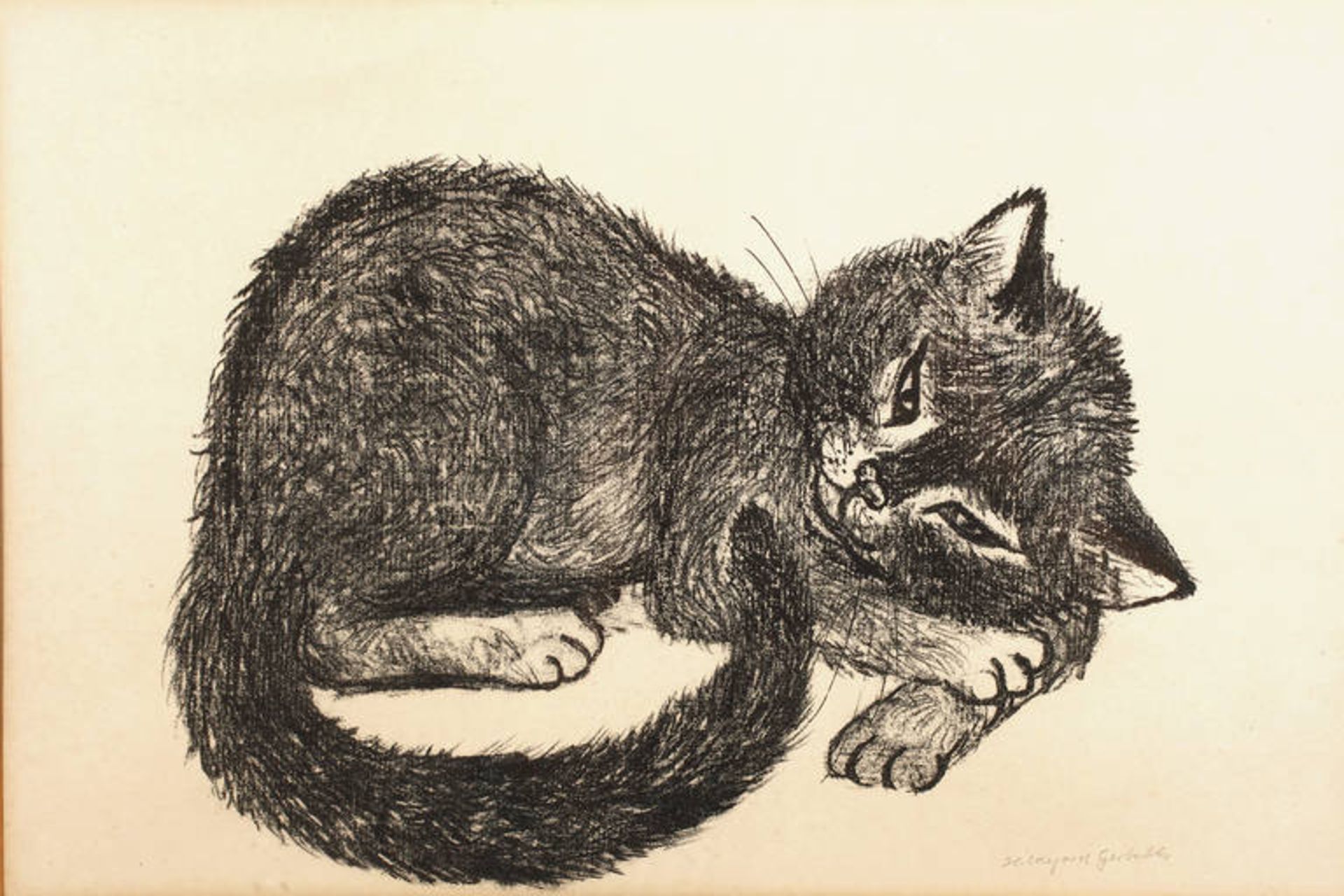 Hildegard Gerbeth, junge Katze drolliges junges Kätzchen, kindgerechte Darstellung, Litho, um