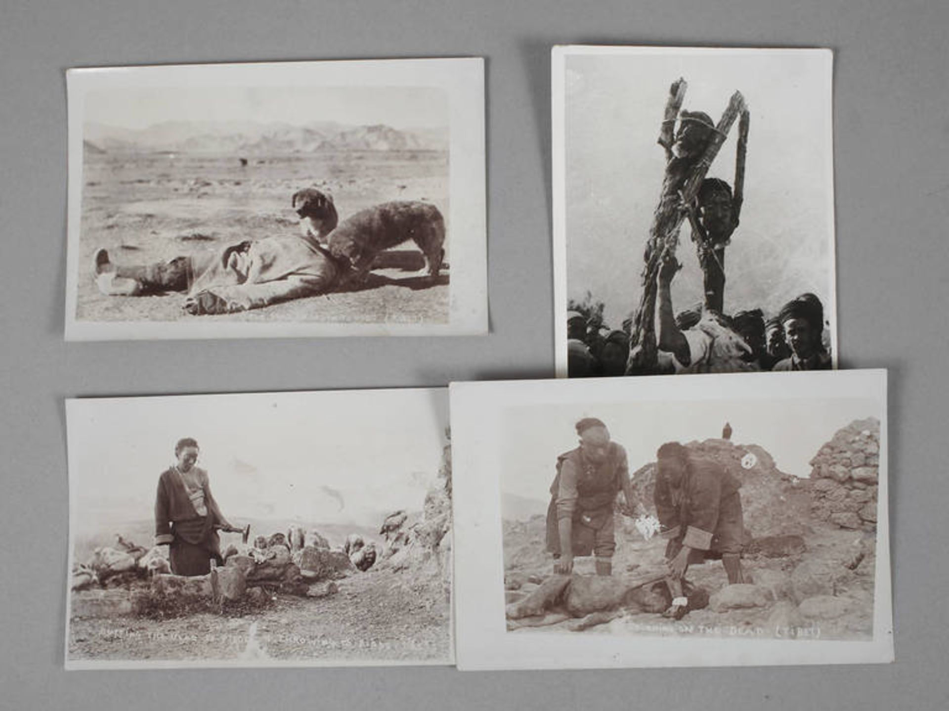 Vier Fotografien Tibet
Landschaftsaufnahmen teils mit gefallenen Tibetern, wohl aus der Zeit des