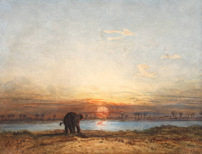 Eduard Hildebrandt, attr., Sonnenuntergang in Siam
einsamer Elefant am Flussufer in Betrachtung
