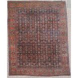 Bidjar fein. Iran, alt, um 1920.448 cm x 348 cm. Handgeknüpft, Wolle auf Baumwolle, wohl alles