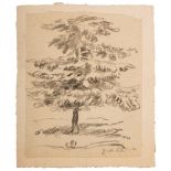GIORGIO DE CHIRICO 

(Volos 1888 - Roma 1978)



Tree, 1955 ca.

Pencil on paper applied to card
