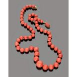 FINE NECKLACE in red coral with clasp in yellow gold 18 kt. oval. Length cm. 60,00, pearl mm. 8/