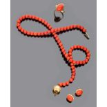 SET WITH NECKLACE, PAIR OF EARRINGS AND RING red coral and mount in yellow gold 18 kt. Length