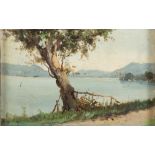 ITALIAN PAINTER, LATE 19TH CENTURY



TREE OVER THE LAKE

Oil on board, cm. 19 x 28

Signed on back