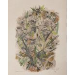 ROBERT HAINARD

(Geneva 1906 - Gland 1999)

Ophrys mouche

Colored woodcut, ex. 46/92

Size of the