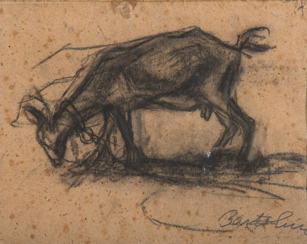 LUIGI BARTOLINI (Cupramontana1892 - Roma 1963)
Goat, 1927
Charcoal on yellow paper, cm. 25 x 30