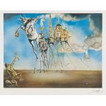 REPRODUCTION

of lithograph by Salvador Dali, ex. 72/100.

Size cm. 45 x 58.

Embossing on the