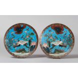 PAIR OF PLATES IN METAL WITH CLOISONNÉ ENAMEL, JAPAN, EARLY 20TH CENTURY
with floral design and