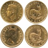 G WORLD COINS, SOUTH AFRICA, George VI (1936-1952), Gold Pound, 1952, bare head bust, left, rev