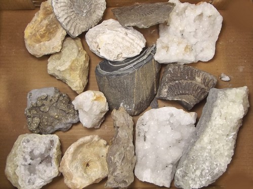 FOSSILS & MINERALS.