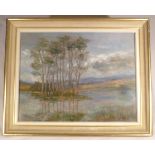 Oil on board of an island of trees on Loch Mallachie, framed & glazed, 34x44cm