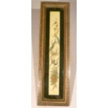 Persian / Indian painting on ivory panel depicting birds of paradise, inlaid mosaic frame, frame