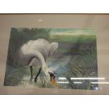 FRAMED AND GLAZED WATERCOLOUR OF SWAN