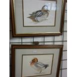 PAIR OF FRAMED AND GLAZED WATERCOLOURS OF DUCKS  S J HOWARD