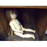 JOINTED DOLL- LONG HAIR