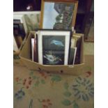 BOX OF FRAMED AND GLAZED BIRD PICTURES ETC