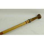 An Indonesian bamboo poison dart blowpip