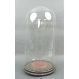 A glass dome, 21 by 42cm high, with an a