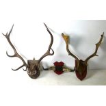 Two pairs of deer antlers, the one by PI