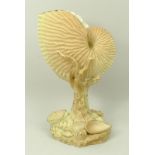 A Royal Worcester blush porcelain nautilus shell, circa 1895, raised on a coral stem and shell