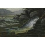 A. Rowland Knight (British, active 1810-1840): three studies of fish to include a Salmon, Trout and