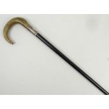 A lady's ebony walking cane with horn handle and silver ferule, Birmingham 1911, 81cm long.