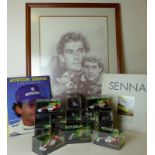 An Ayrton Senna Racing Car Collection, Williams, Benetton, McLaren, Series 43, from no.9, through