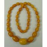 A string of thirty nine butterscotch amber beads of graduated oval form, from 16mm to 31mm, 69cm