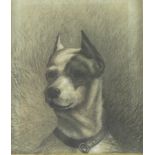 A charcoal and chalk drawing of a dog, signed to the collar J. King, 22 by 19cm.