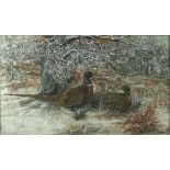 F J Maidment: 'Pheasants in Winter', oil on board, signed lower right, 34 by 55cm.