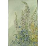 Kathleen Hutchen (British illustrator): foxgloves, watercolour, signed lower left, 67 by 43cm.