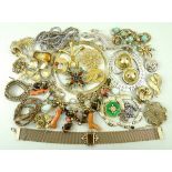 A quantity of costume jewellery including necklaces, earrings, brooches and bracelets.