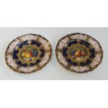 A pair of Royal Worcester plates by Rich