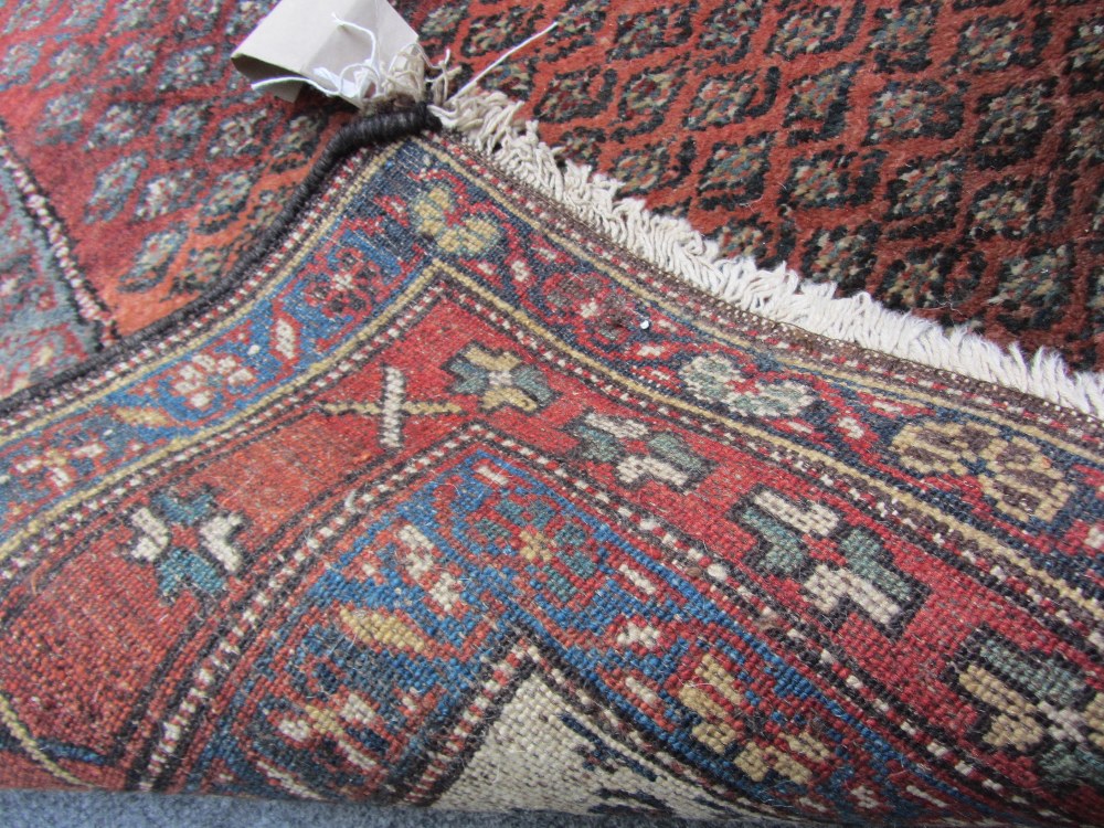 A Bidjar rug, Persian, the madder field with an allover herati design, ivory spandrels, three - Image 5 of 7