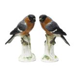 A pair of Meissen porcelain bullfinches, late 19th century, modelled atop a naturalistic base,