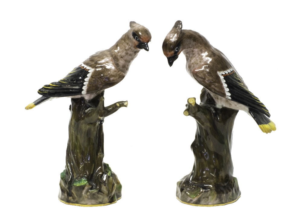 A pair of Meissen porcelain waxwings, late 19th century, modelled atop a naturalistic base,