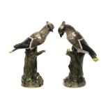 A pair of Meissen porcelain waxwings, late 19th century, modelled atop a naturalistic base,