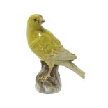 A Meissen porcelain canary, circa 1900, modelled atop a naturalistic base, blue crossed swords mark,