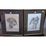 Charles Frederick Tunnicliffe (1901-1979), Hawks & Falcons, ten lithographs, all signed,