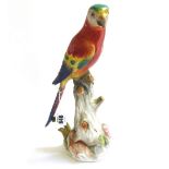 A Meissen porcelain parrot, late 19th century, modelled atop a naturalistic base,