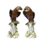 A pair of large Meissen porcelain parrots, late 19th century, modelled atop a naturalistic base,