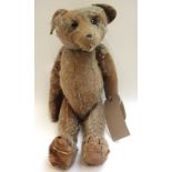 A Steiff teddy bear, circa 1910, with hump back and jointed limbs (a.f), 52cm high.