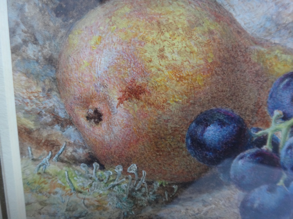 Helen Cordelia Coleman (19th century), Still life with fruit and walnut, watercolour, - Image 5 of 8