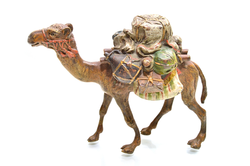 An Austrian cold painted bronze figure of a camel, early 20th century,